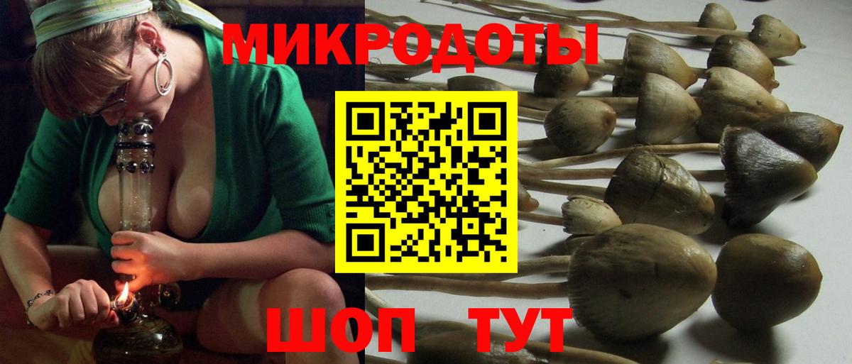 Мегион  Псилоцибиновые грибы ЛСД  где можно купить наркотик  Вход с VPN  Галлюциногенные грибы ЛСД 